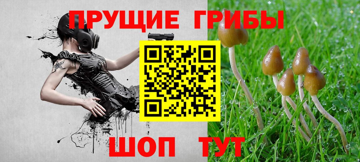 Златоуст  купить наркотики цена  Вход с VPN  Галлюциногенные грибы прущие грибы  Галлюциногенные грибы мицелий 