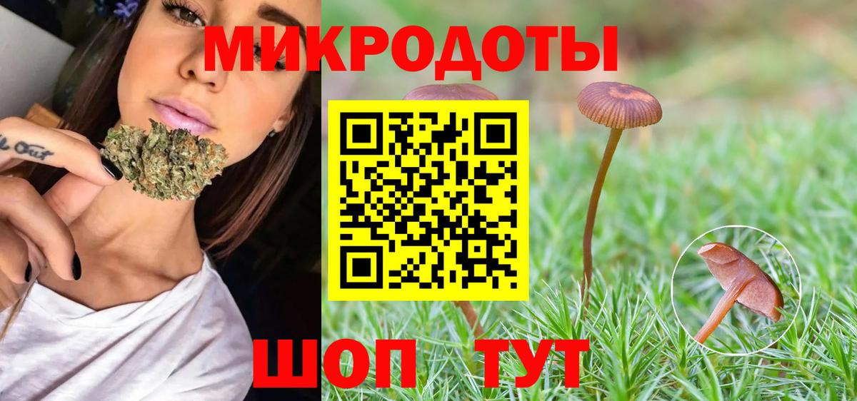 Псилоцибиновые грибы Psilocybine cubensis Златоуст